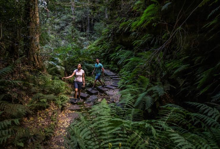 Coppia che fa una passeggiata panoramica lungo il Grand Canyon Walking Track, Blackheath nelle Blue Mountains © Destination NSW