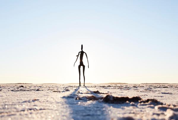 Scultura di Antony Gormley a Lake Ballard © Tourism Western Australia