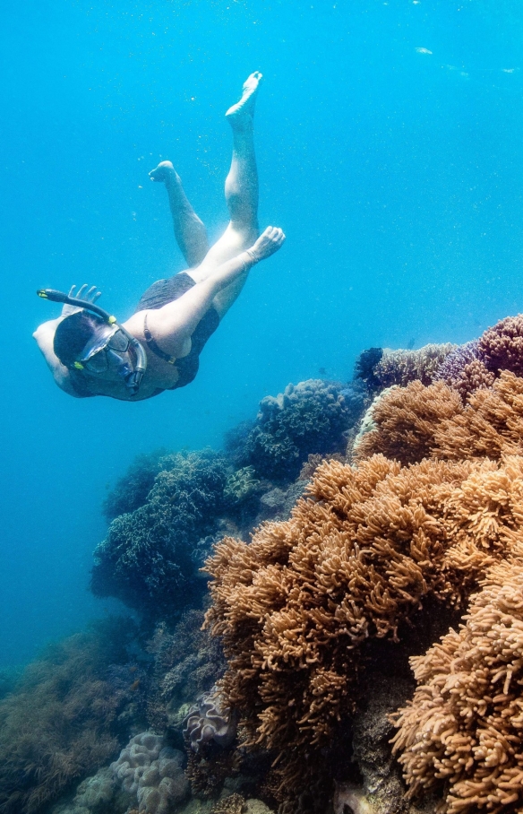 Red Cat Adventures, Whitsunday, Queensland © Tourism Australia