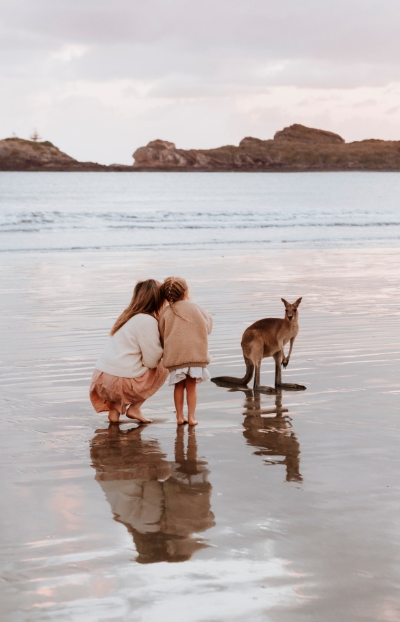  Cape Hillsborough, Mackay Region, Queensland © Tourism and Events Queensland