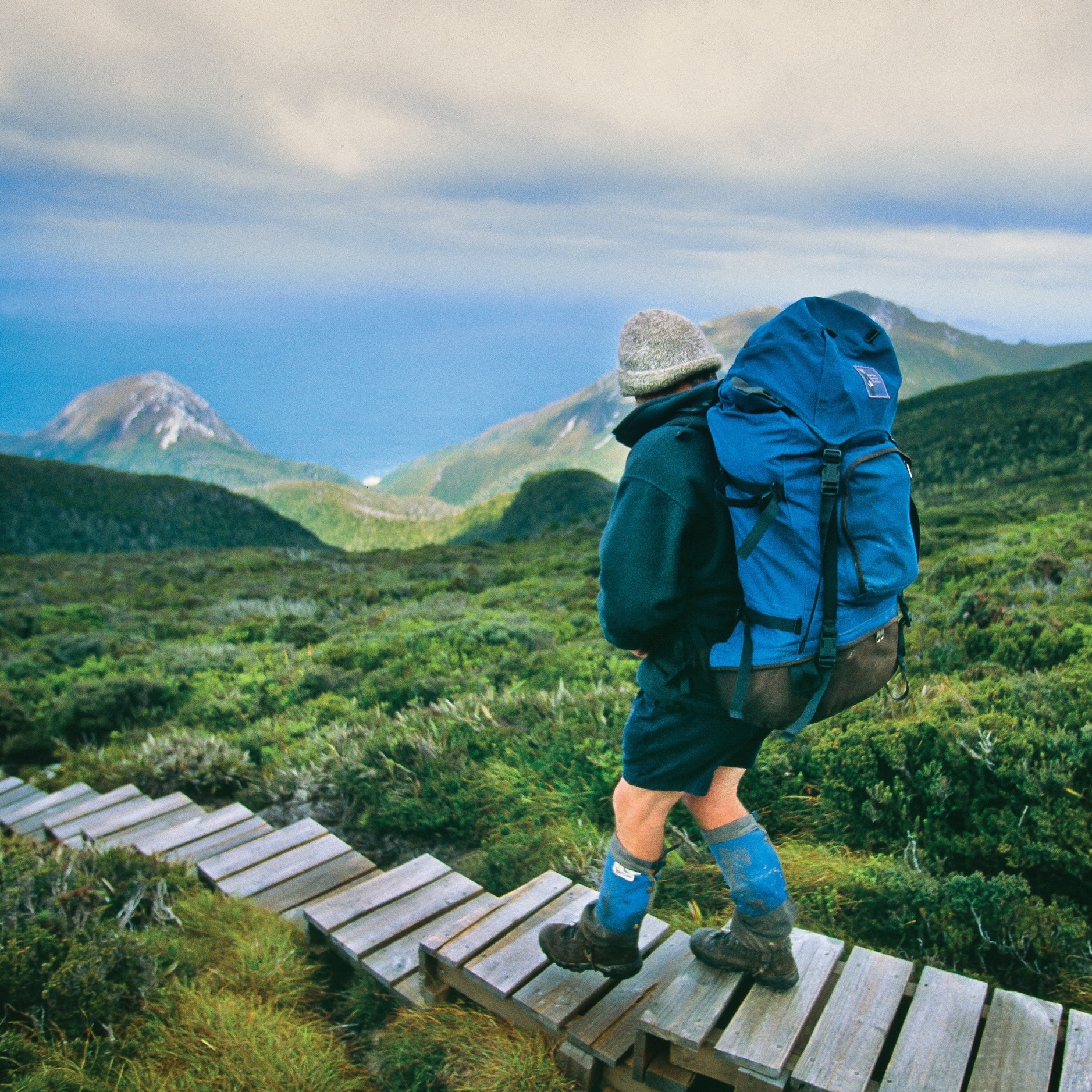 Uomo che cammina sulla South Coast Track nel Southwest National Park © Tourism Tasmania/Don Fuchs