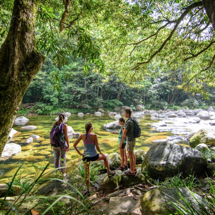 Partecipanti a un tour di gruppo che ammirano il panorama sopra il Mossman River nel Daintree National Park © FNQ Nature Tours