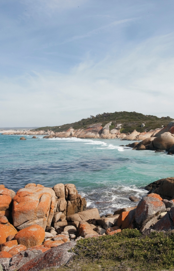 Binalong Bay, Bay of Fires Conservation Area, Tasmania © Tourism Australia