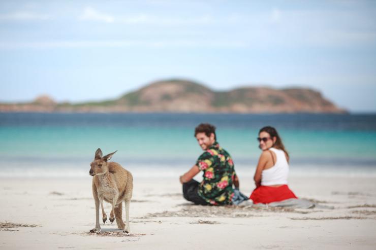 Una coppia che osserva un canguro sulla spiaggia a Lucky Bay, Cape Le Grand National Park, Western Australia © Tourism Australia