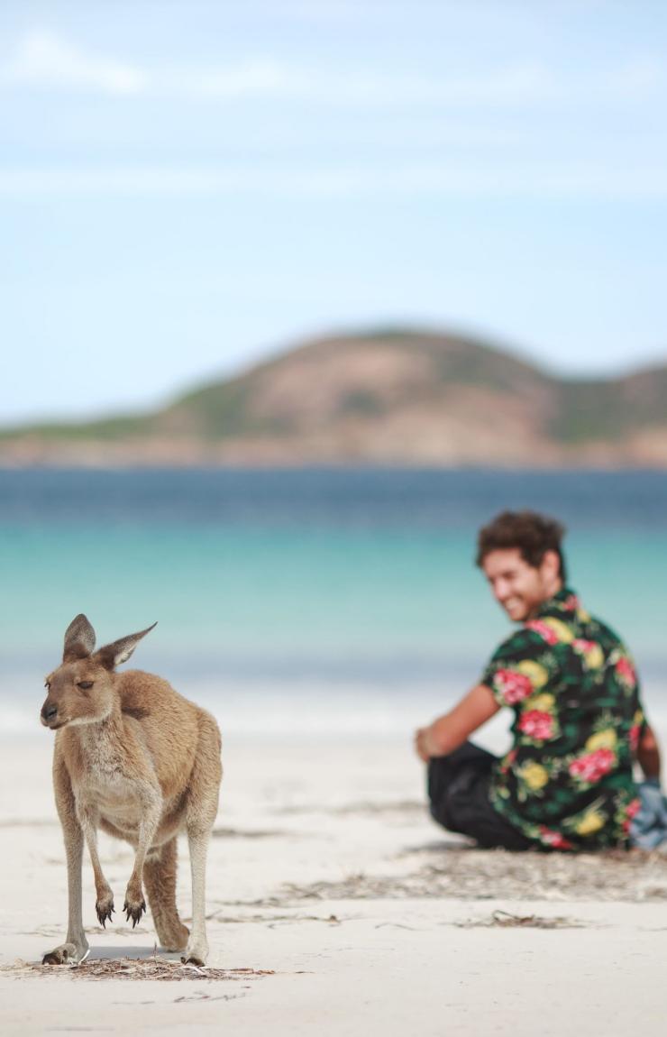 Una coppia che osserva un canguro sulla spiaggia a Lucky Bay, Cape Le Grand National Park, Western Australia © Tourism Australia