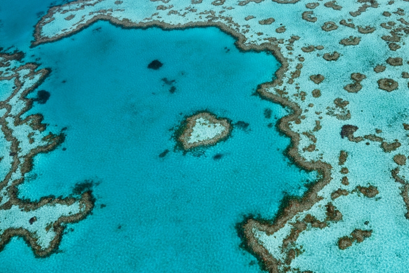 Heart Reef, Great Barrier Reef, QLD. © Tourism and Events Queensland Heart Reef, Great Barrier Reef, QLD. © Tourism and Events Queensland