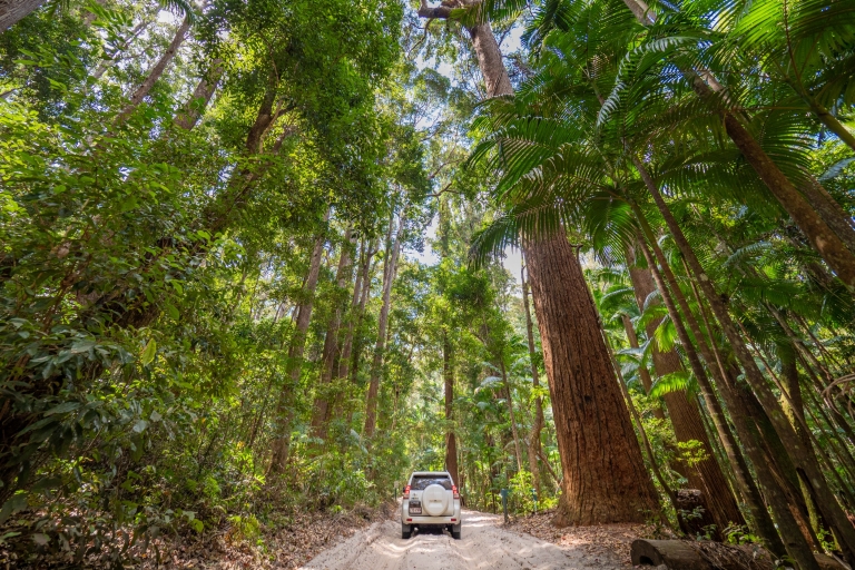 クイーンズランド州フレーザー島、パイルバレー © Tourism Australia