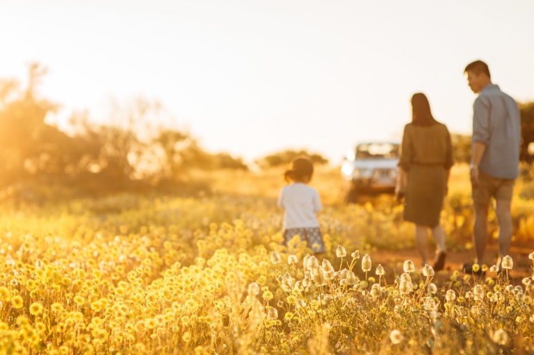   西オーストラリア州、ハーメルンプール近郊、ワイルドフラワー © Tourism Western Australia