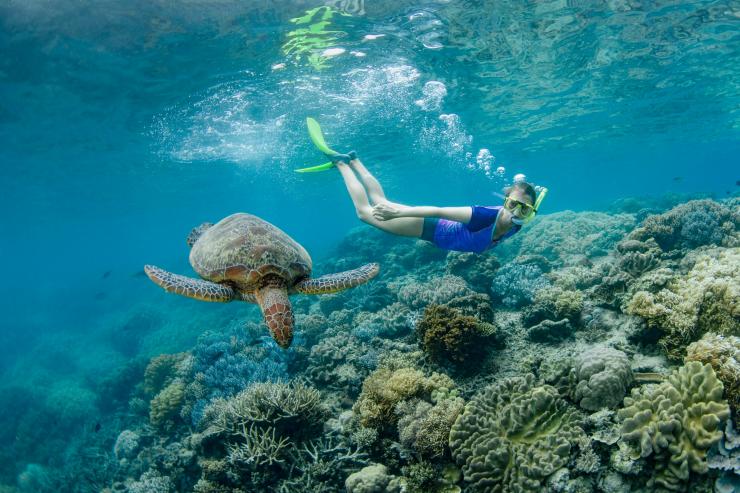 カメの隣でシュノーケリングする女の子 © Tourism and Events Queensland