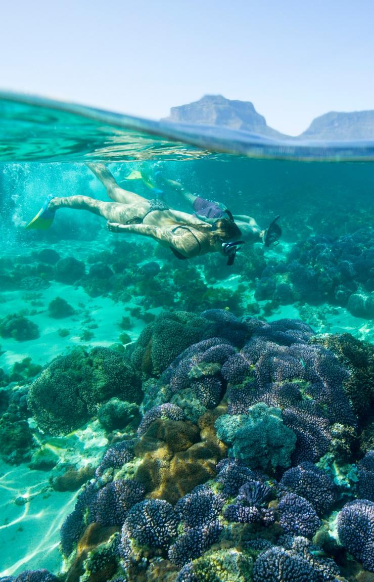 ニュー・サウス・ウェールズ州、ロード・ハウ島 © Trevor King, Destination New South Wales