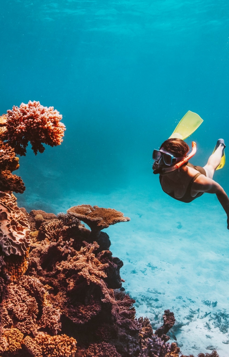 クイーンズランド州、グレート・バリア・リーフ © Tourism Tropical North Queensland