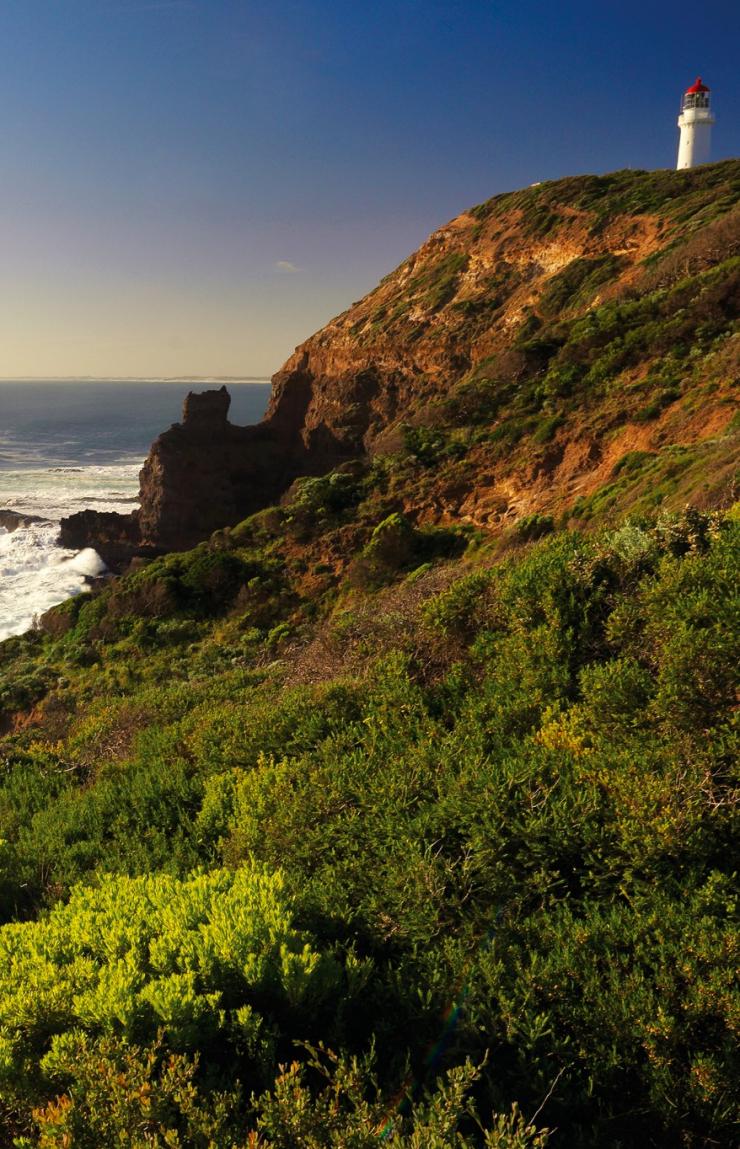 ビクトリア州、モーニントン半島（Mornington Peninsula）、ケープ・シャンク・ボードウォーク（Cape Schanck Boardwalk） © Mornington Peninsula Regional Tourism