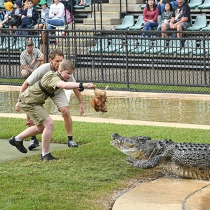 クイーンズランド州、ブリスベン、ワイルドライフ・ウォーリアーズ・ショー © Australia Zoo