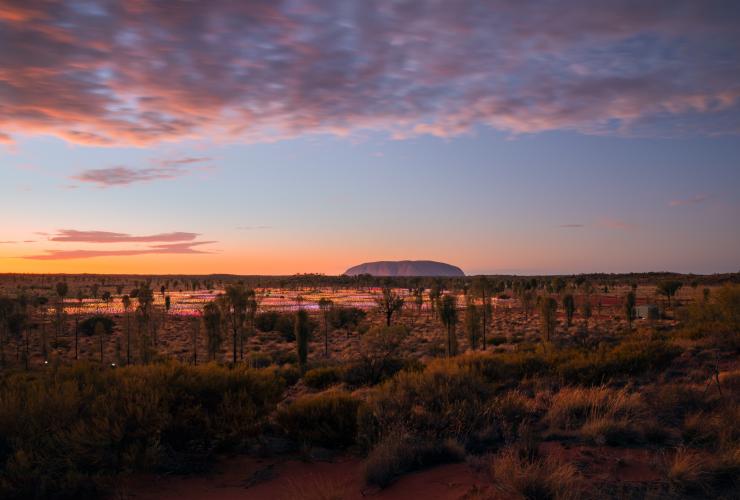 ノーザンテリトリー、レッドセンター、ウルル © Tourism Australia