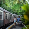 クイーンズランド州、キュランダ、キュランダ・シーニック･レールウェイ © Tourism and Events Queensland