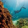 クイーンズランド州、ヘロン島、グレート・バリア・リーフ © Paul Giggle, Tourism and Events Queensland