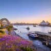 ニュー・サウス・ウェールズ州、シドニー、ジャガランダと日没時のシドニー・ハーバー © Destination NSW