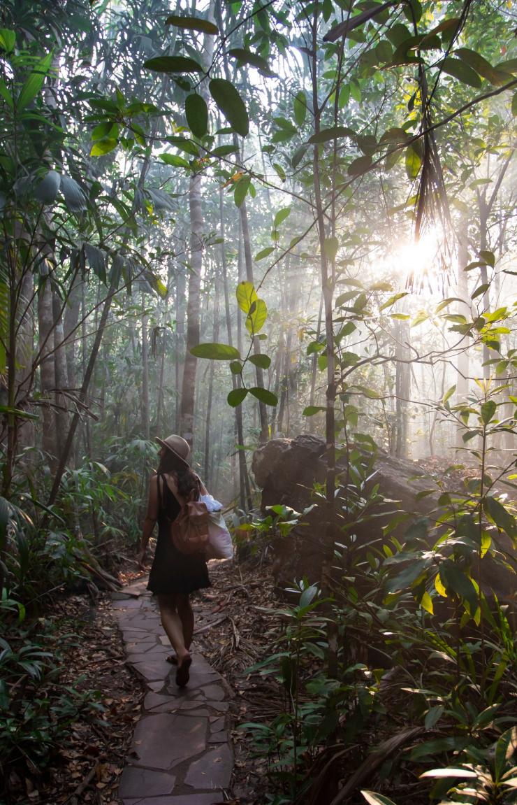 ノーザンテリトリー、リッチフィールド国立公園、フローレンス滝 © Tourism Australia