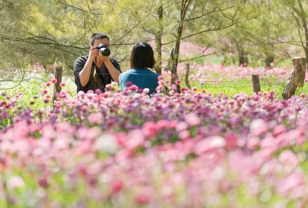 西オーストラリア州、パース、キングス・パーク植物園 © Botanic Gardens & Parks Authority