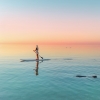 西オーストラリア州、シャーク・ベイ世界遺産エリア、モンキー・マイア © Tourism Western Australia