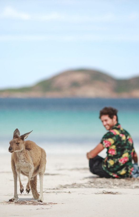 西オーストラリア州、ケープ・ル・グラン国立公園、ラッキー・ベイ、ビーチでカンガルーを眺めるカップル © Tourism Australia