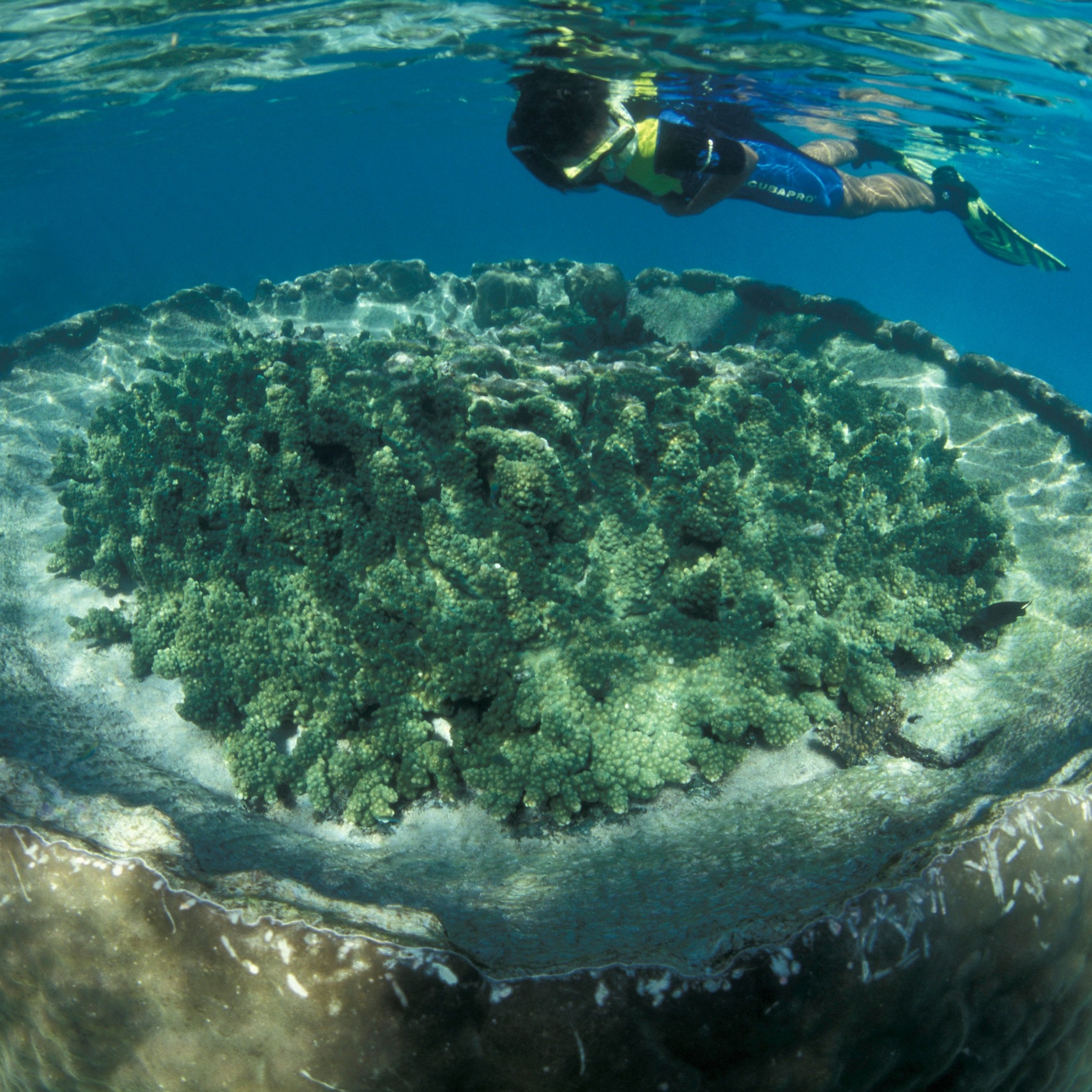 西オーストラリア州、ニンガルーリーフ © Sal Salis Ningaloo Reef