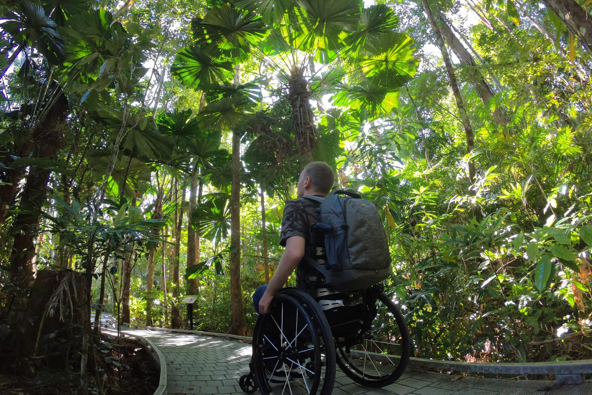 クイーンズランド州、デインツリー・レインフォレスト © Tourism and Events Queensland