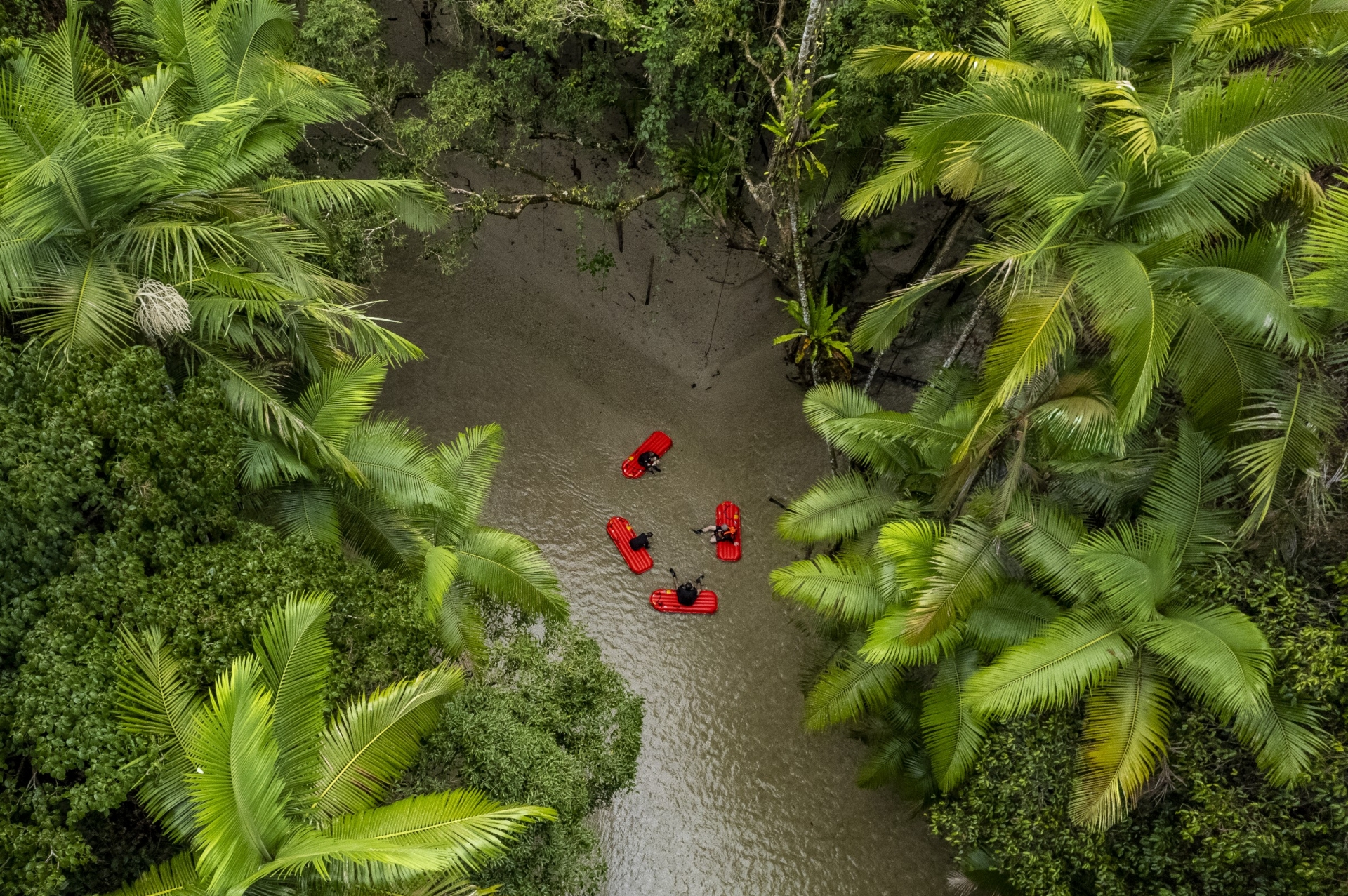 クイーンズランド州、デインツリー・レインフォレスト、バックカントリー・ブリス・アドベンチャーズ© Tourism and Events Queensland