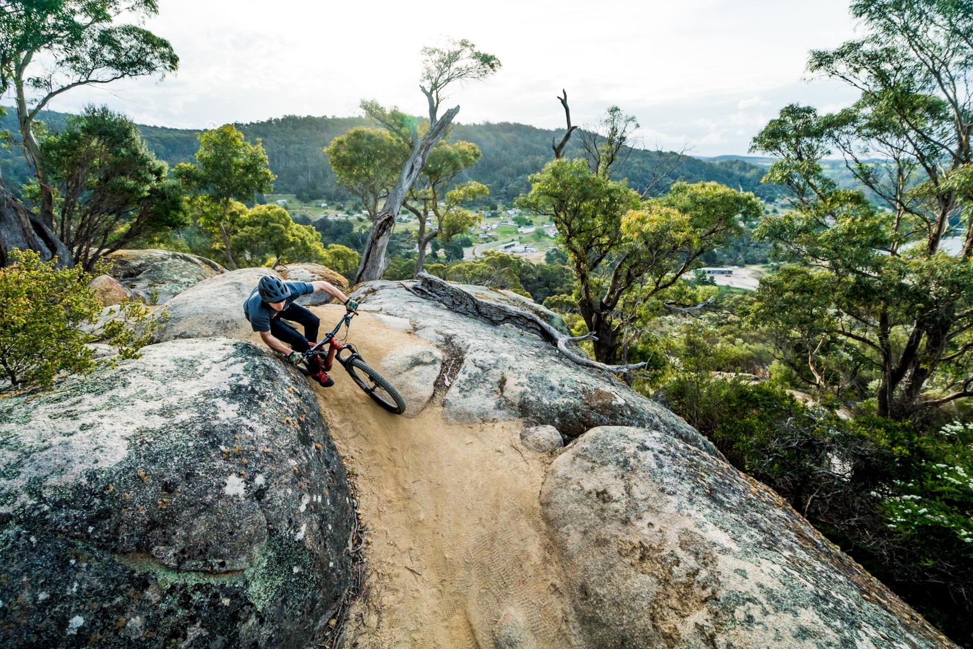 タスマニア州、ダービー、ブルー・ダービー・マウンテンバイク・トレイル © Tourism Tasmania/Revolution MTB