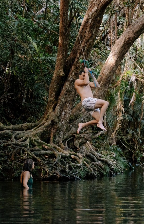 Cape Tribulation, Tropical North Queensland, QLD © Tourism Australia