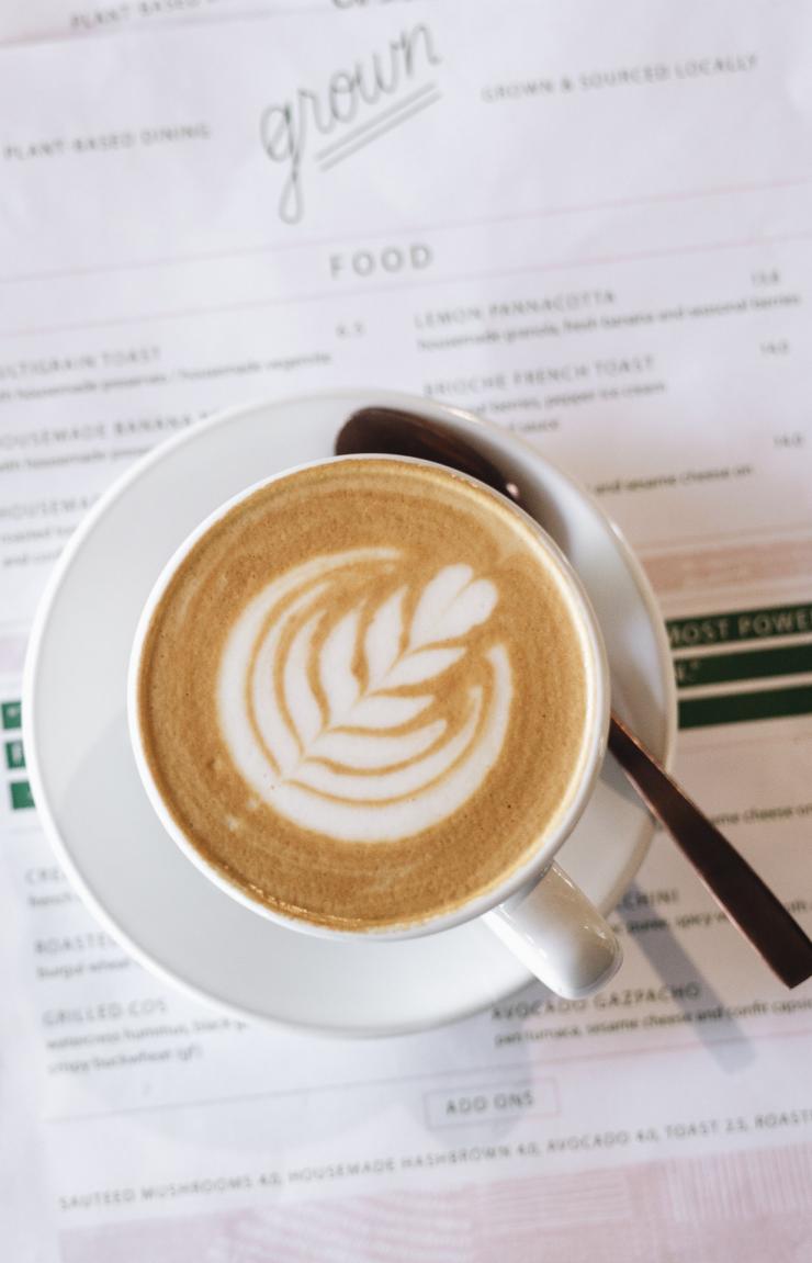 그로운, 웨스트 엔드, 퀸즐랜드 © 사바나 반 더 니트(Savannah van der Niet)