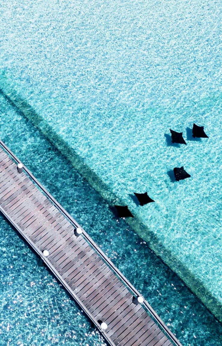 상공에서 바라보기, 부두, 헤론 아일랜드, 퀸즐랜드 © 제임스 보디카(James Vodicka) 상공에서 바라보기, 부두, 헤론 아일랜드, 퀸즐랜드 © 제임스 보디카(James Vodicka)