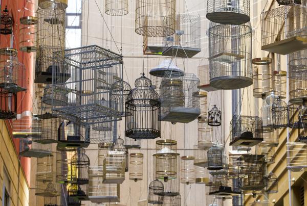 포가튼 송즈, 엔젤 플레이스, 시드니, 뉴사우스웨일스 © 브렌단 리드(Brendan Read), 시드니