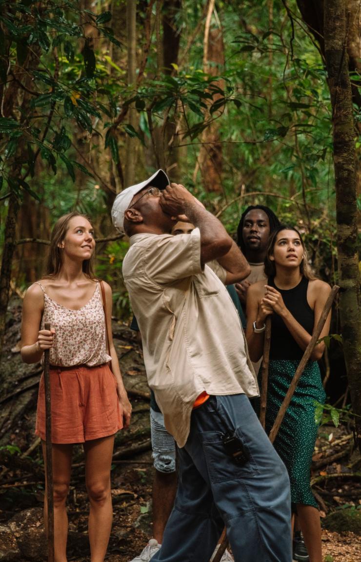 모스맨 협곡 센터, 데인트리, 퀸즐랜드 © 퀸즐랜드주 관광청