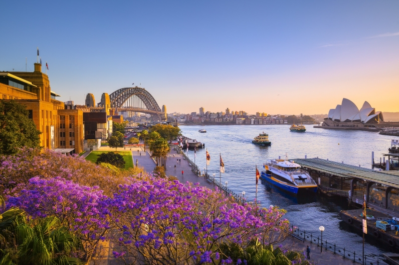 Jacarandas and Sydney Harbour at sunset, Sydney, NSW © Destination NSW Jacarandas and Sydney Harbour at sunset, Sydney, NSW © Destination NSW