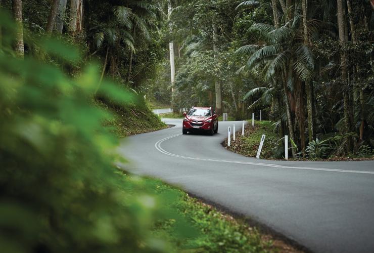 Thung lũng Canungra, Gold Coast, Du lịch và Sự kiện QLD © Queensland Thung lũng Canungra, Gold Coast, Du lịch và Sự kiện QLD © Queensland