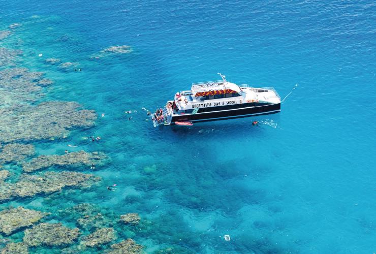 Lặn và Lặn với ống thở Dreamtime, Rạn san hô Great Barrier, QLD © Davey Houlton, Lặn và Lặn với ống thở Dreamtime Lặn và Lặn với ống thở Dreamtime, Rạn san hô Great Barrier, QLD © Davey Houlton, Lặn và Lặn với ống thở Dreamtime