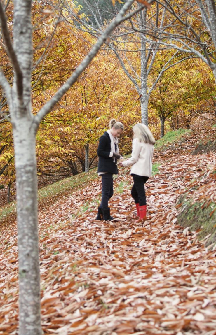 Lễ hội thu hoạch vùng cao, VIC © Tourism Australia