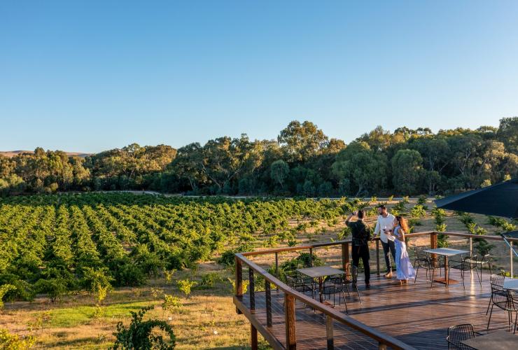 Một nhóm chiêm ngưỡng những vườn nho xanh mát tại St Hugo, Barossa, Du lịch Úc © Một nhóm chiêm ngưỡng những vườn nho xanh mát tại St Hugo, Barossa, Du lịch Úc ©