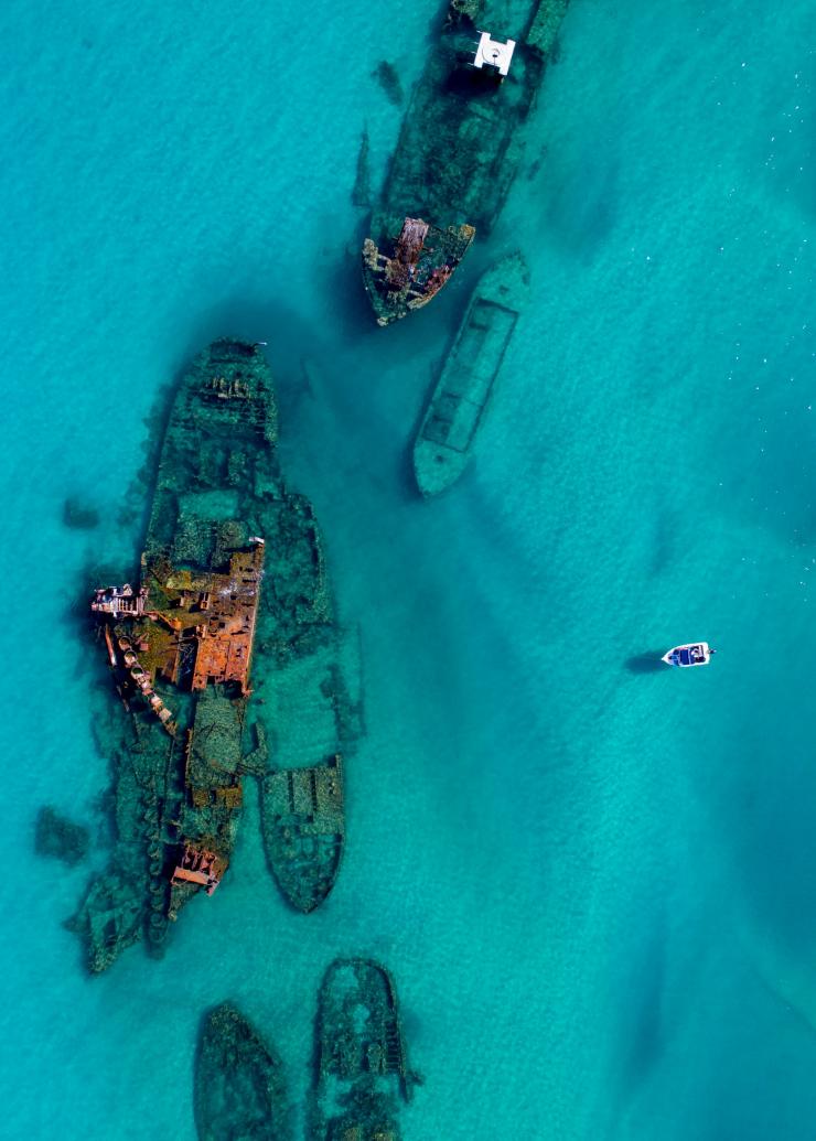 Xác tàu Tangalooma, Đảo Moreton, Du lịch Queensland © Xác tàu Tangalooma, Đảo Moreton, Du lịch Queensland ©