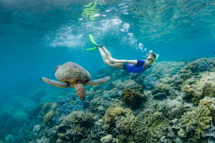Cô gái lặn với ống thở bên cạnh một con rùa © Du lịch và Sự kiện Queensland Cô gái lặn với ống thở bên cạnh một con rùa © Du lịch và Sự kiện Queensland