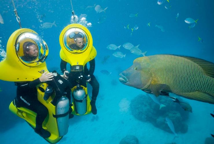 Scuba-Doo, Rạn san hô Great Barrier, QLD © Scubadoo Scuba-Doo, Rạn san hô Great Barrier, QLD © Scubadoo