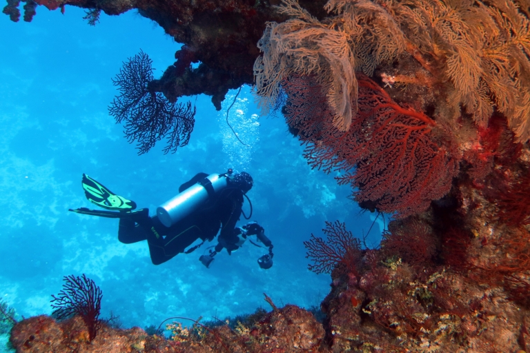 Rạn san hô Holmes với Mike Ball Dive Expeditions, Great Barrier Reef, QLD © Deborah Dickson-Smith