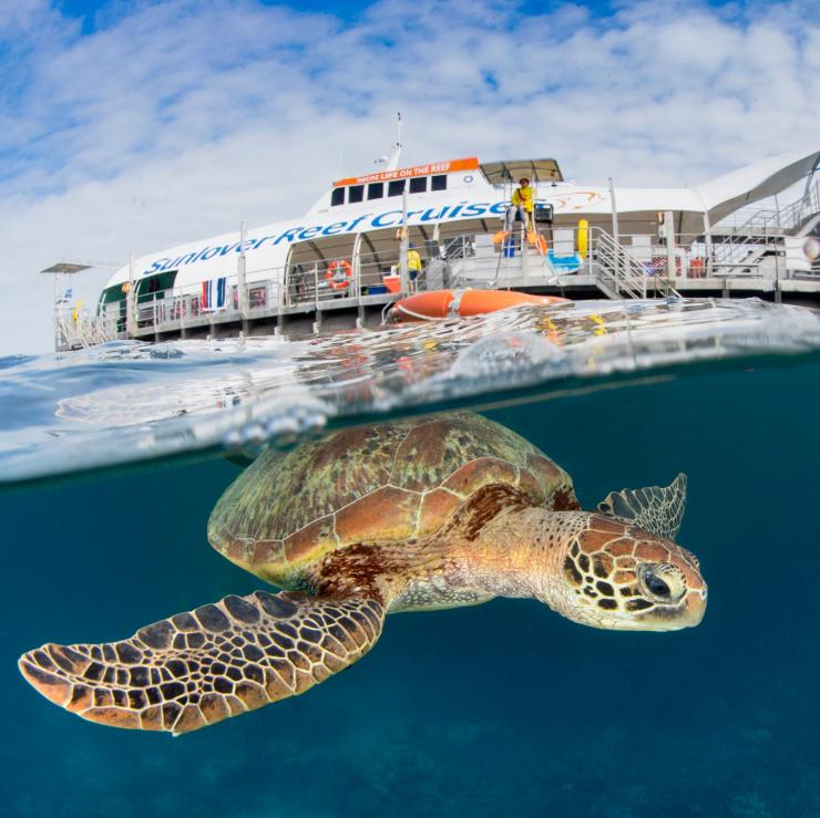 Sunlover Reef Cruises phao phao, Great Barrier Reef, Queensland © Tourism &amp; Events Queensland