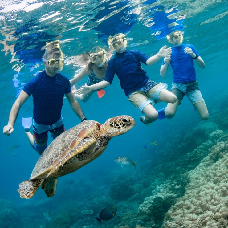 Lặn với rùa biển cùng gia đình gần Cairns © Tourism and Events Queensland Lặn với rùa biển cùng gia đình gần Cairns © Tourism and Events Queensland
