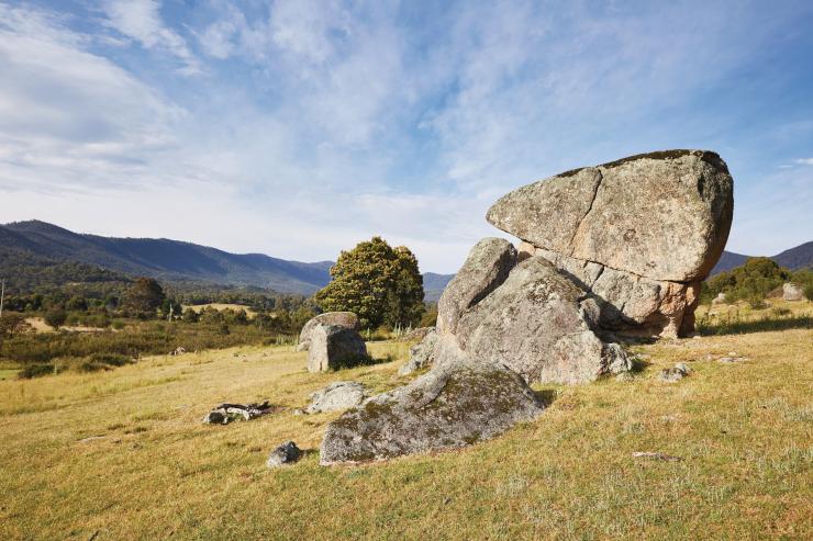Khu bảo tồn thiên nhiên Tidbinbilla, Canberra, Lãnh thổ © Thủ đô Úc Stuart Miller Khu bảo tồn thiên nhiên Tidbinbilla, Canberra, Lãnh thổ © Thủ đô Úc Stuart Miller