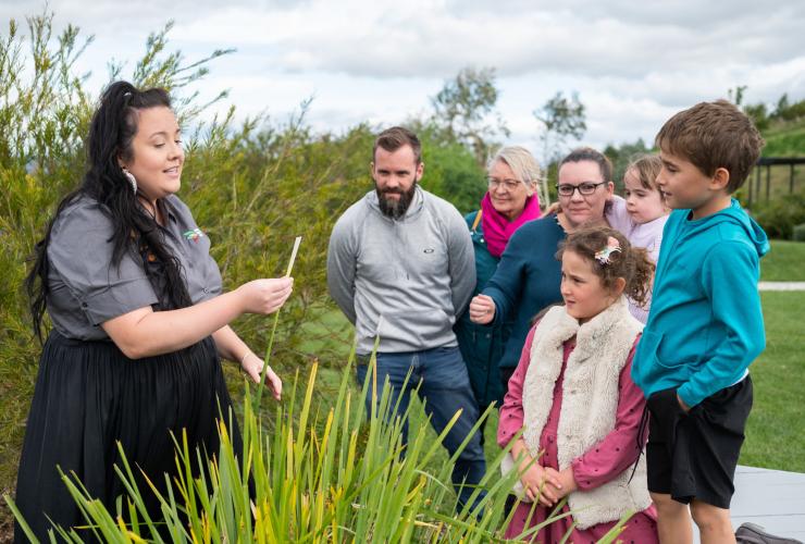 Ngala Tours, Vườn ươm Quốc gia, Canberra, Lãnh thổ Thủ đô Úc Du © lịch Úc Ngala Tours, Vườn ươm Quốc gia, Canberra, Lãnh thổ Thủ đô Úc Du © lịch Úc