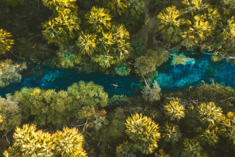 Bitter Springs, Vườn quốc gia Elsey, NT © Tourism NT, Mitch Cox