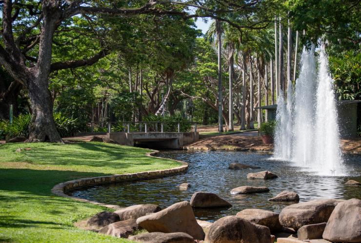 Đi dạo qua George Brown Darwin Botanic © Gardens Tourism NT / Shaana McNaught Đi dạo qua George Brown Darwin Botanic © Gardens Tourism NT / Shaana McNaught