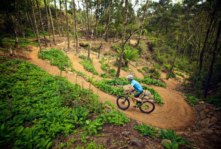 Đường mòn xe đạp leo núi Blue Derby, Derby, TAS © Tourism Tasmania & được cung cấp bởi Flow Mountain Bike Đường mòn xe đạp leo núi Blue Derby, Derby, TAS © Tourism Tasmania & được cung cấp bởi Flow Mountain Bike